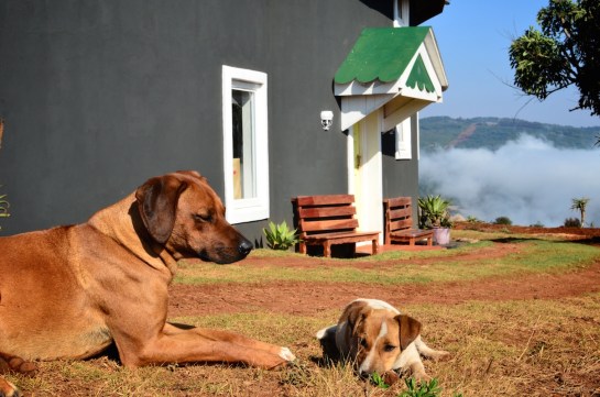 In situ between the two benches we made