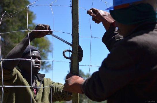 Saunyama & Makanza showing us their speed fencing team work
