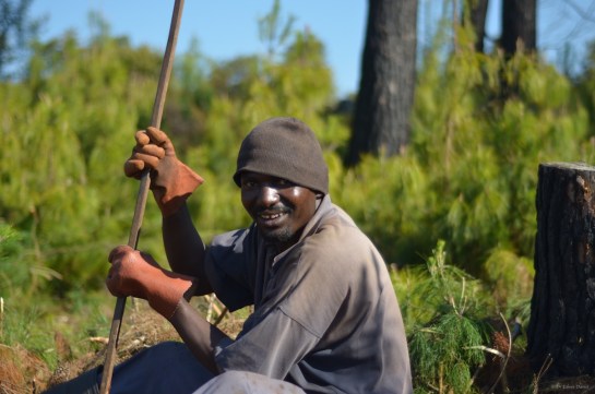 Mr Ramius digging post holes