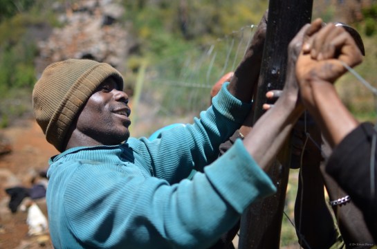 Specialist Manjari in action