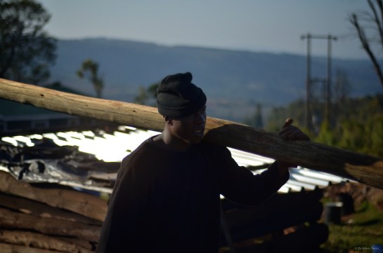 Mr Artwell bringing more poles