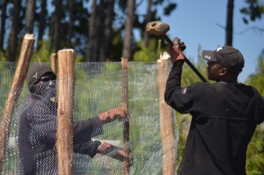 Adding droppers between the poles