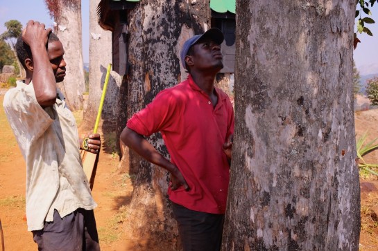 Delight and Didymus survey the challenge 