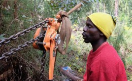 The Tunguska event of 2015 – OK, more tree clearing by the ZESA&nbsp;lines