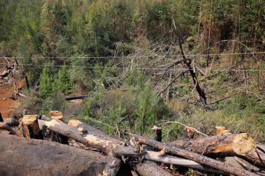 The Tunguska event of 2015