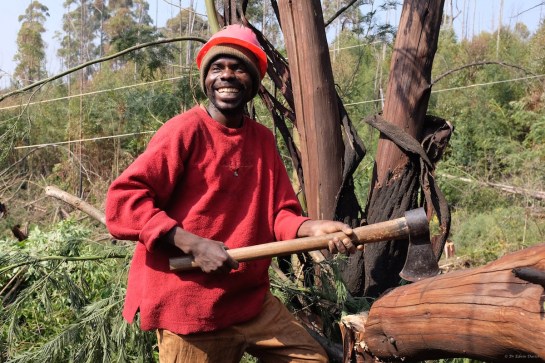 George enjoying the press interest