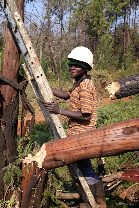 Garikai puts up with the press photographer