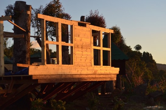 Tree house north wall at sunset