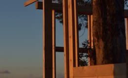 Tree House Number 2: The Walls Go&nbsp;Up