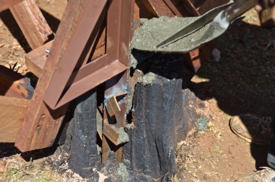 Cement being added into the stump