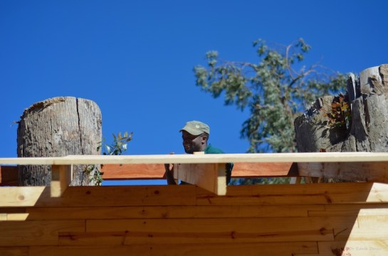 Roofing slats going on the the rafters