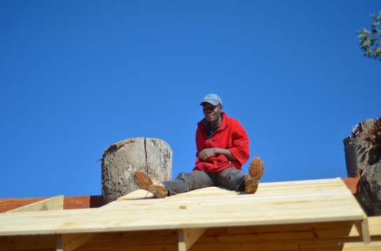 Is that a tree in your roofing?
