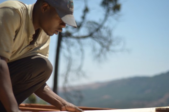 Didymus starts the flooring