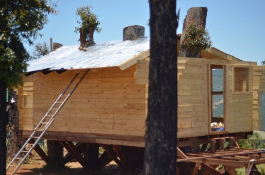 Rear view with Alububble in place