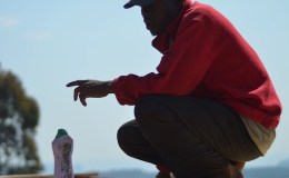 Tree House Number 2: The Floor Goes&nbsp;On