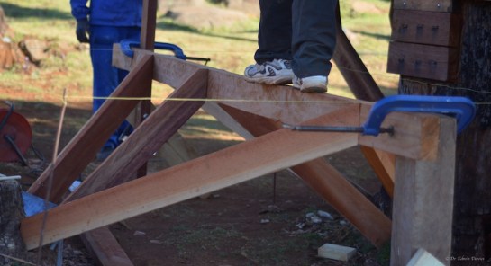 Didymus balancing on the inverted 3D truss