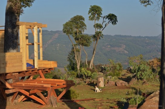 The last stump was too short