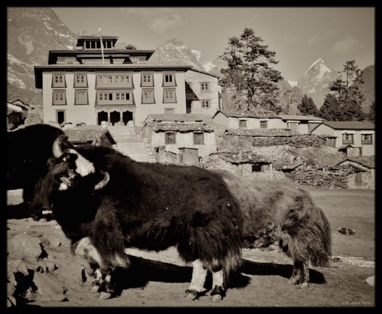 Eastern Highlander Treks to Everest