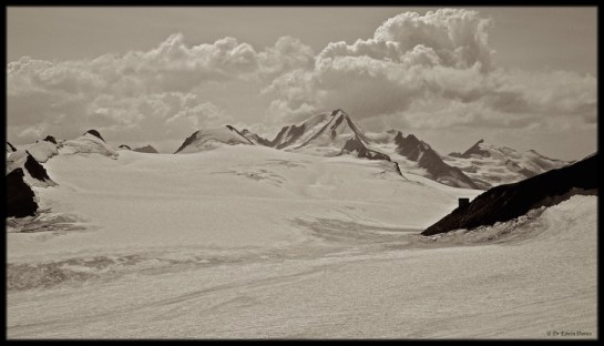 Eastern Highlander in the Oetztal