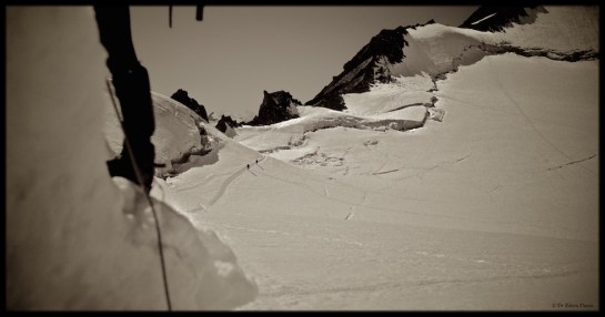 Eastern Highlander in the Oetztal