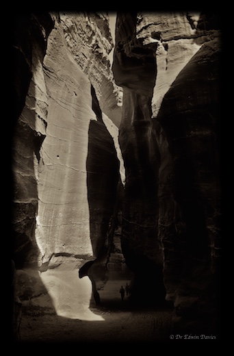 Eastern Highlander in Petra