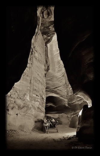 Eastern Highlander in Petra