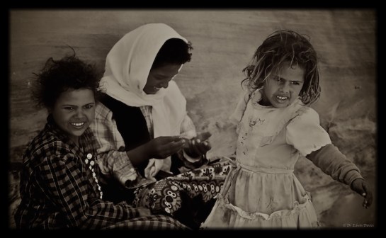 Eastern Highlander in Petra