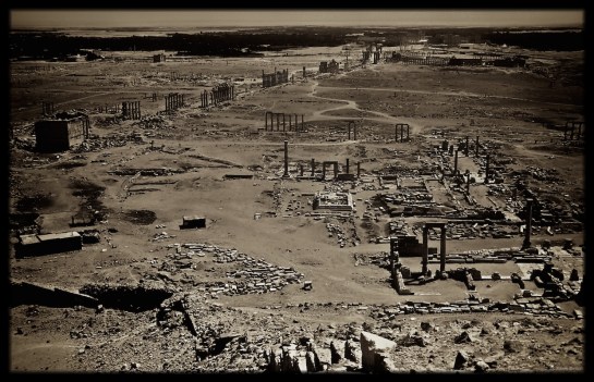 Eastern Highlander finds Palmyra