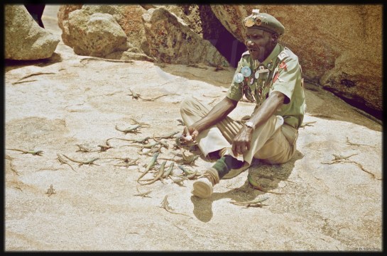 Eastern Highlander: Feeding the Lizards at Matopos 