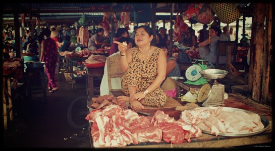 Eastern Highlander and Viet Nam: In Colour