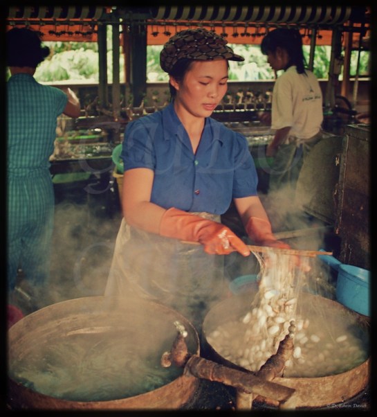 Eastern Highlander and Viet Nam: In Colour