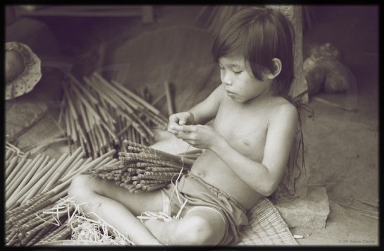 Eastern Highlander and Viet Nam