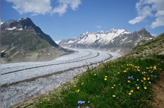 Aletsch Gletscher