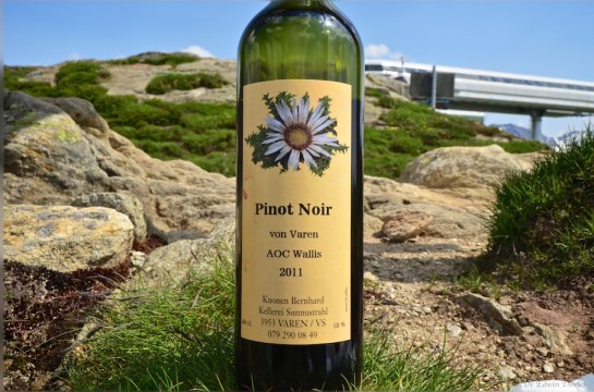 The reward picnic at Bettmeralp!