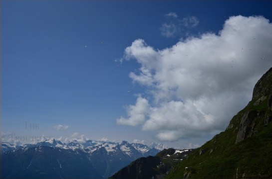 Gleitschirm Fiecscheralp