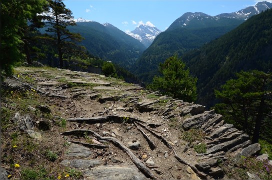 Well made path on the way up from Brig