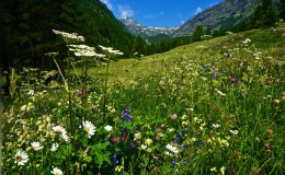 Der Stockalperweg Day&nbsp;2