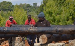 Building a real log cabin – part&nbsp;1a