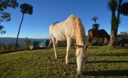 Some of our friends – now also enjoying the school&nbsp;holiday!
