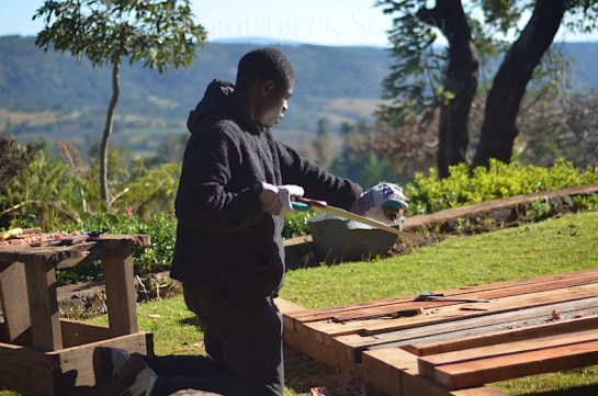 Didymus oiling his saw ready for cutting hardwood