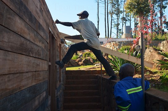 The start of the rafters joining from the end of the existing roof onto our new wall and beyond to form an overhang