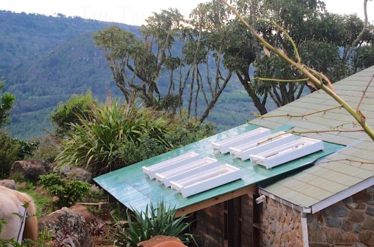 Porch and walkway with skylights