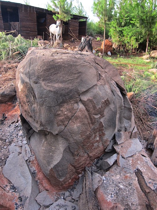 Just what we are looking for