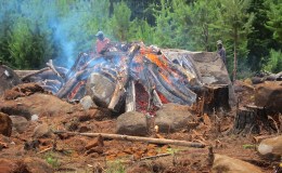 Burning granite boulders 1: If you like your trees and rocks look away&nbsp;now!