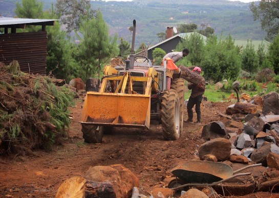 to deliver yet more firewood!