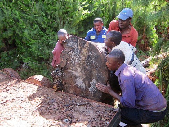 but they are big and heavy