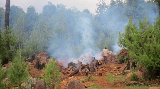 Multiple small fires to crack rocks in the future tractor and trailer track