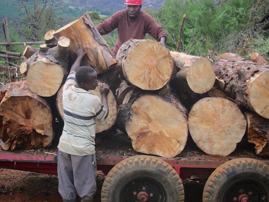 Our super strong double axle trailer from Inverness Scotland!