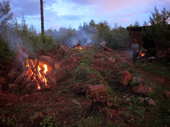 Burning goes on into the night