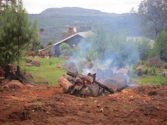 looking towards the main house